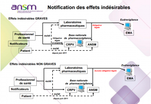 Vaccins: notification des EI à l’ANSM