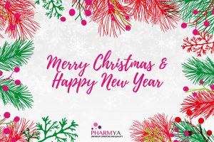 Merry Christmas and Happy New Year 2019