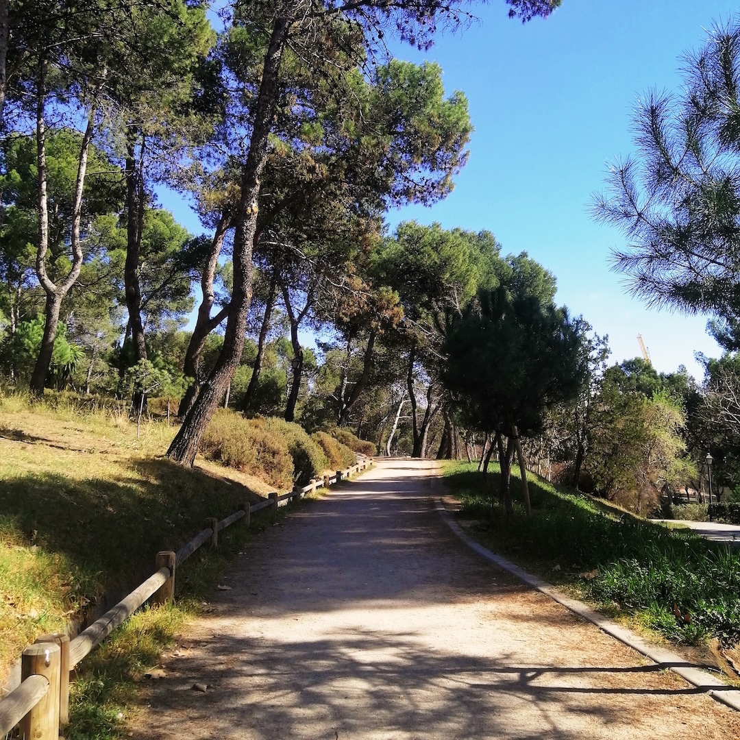 Chemin de Garrigue à Montpellier dans le Parc Saint Sauveur